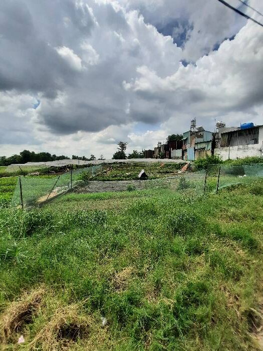 ĐẤT MẶT TIỀN ĐƯỜNG THỚI AN 5 ĐẦU TƯ PHÂN LÔ BAO LỜI – DIỆN TÍCH THỔ CƠ 100% – KHU VỰC QUI HOẠCH DÂN