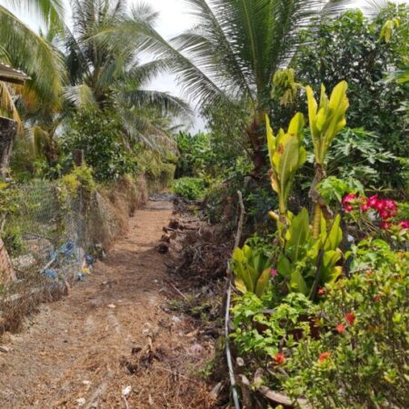 Cần bán gấp đất nền vị trí đẹp tại TP Vị Thanh, giá: 550 triệu