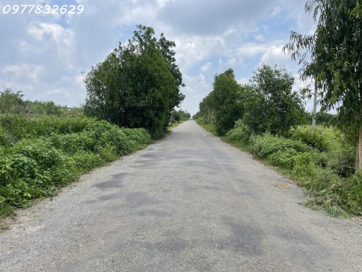 Bán đất ONT Đường Lê Văn Duyệt – TX LaGi chỉ 180tr/m ngang sát KDL Sinh thái