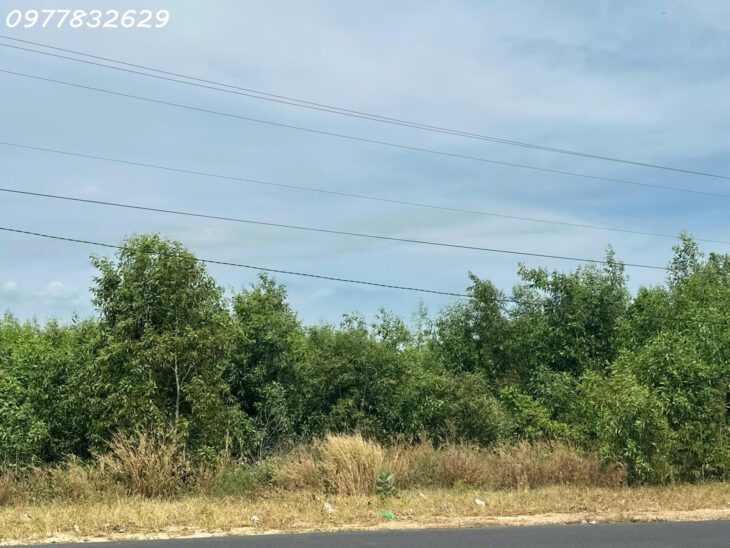 Bán 3280m2 đất mặt tiền Hùng Vương – Tân Bình – TX LaGi view Biển giá rẻ chỉ 350tr/m ngang