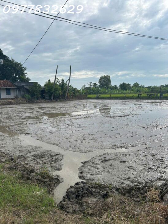 Bán gấp 2.8 sào đất ONT Tân An – TX LaGi giá ngộp View Sông Dinh