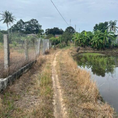 Bán gấp 2.8 sào đất ONT Tân An – TX LaGi giá ngộp View Sông Dinh