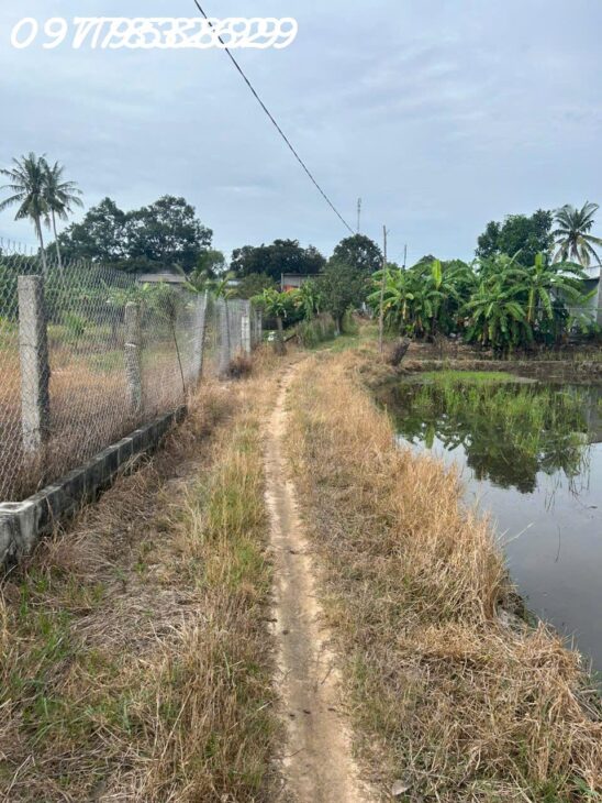 Bán gấp 2.8 sào đất ONT Tân An – TX LaGi giá ngộp View Sông Dinh