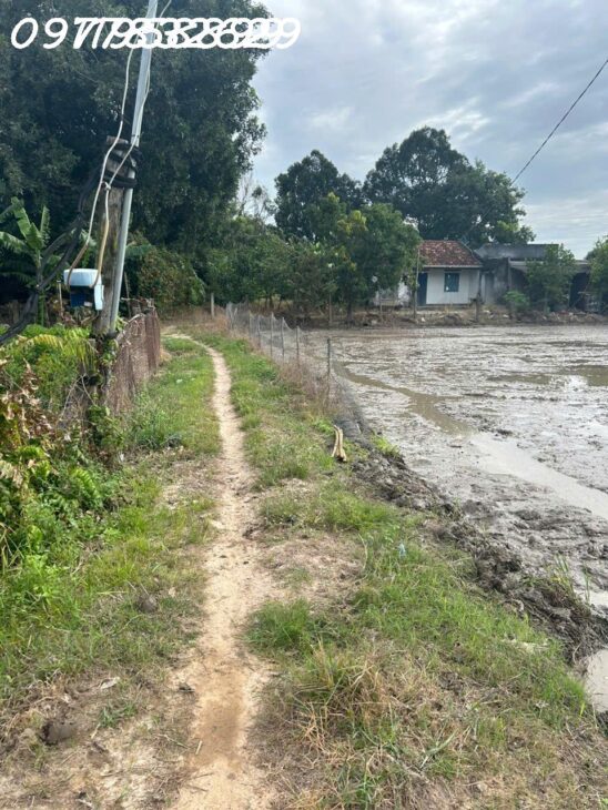 Bán gấp 2.8 sào đất ONT Tân An – TX LaGi giá ngộp View Sông Dinh