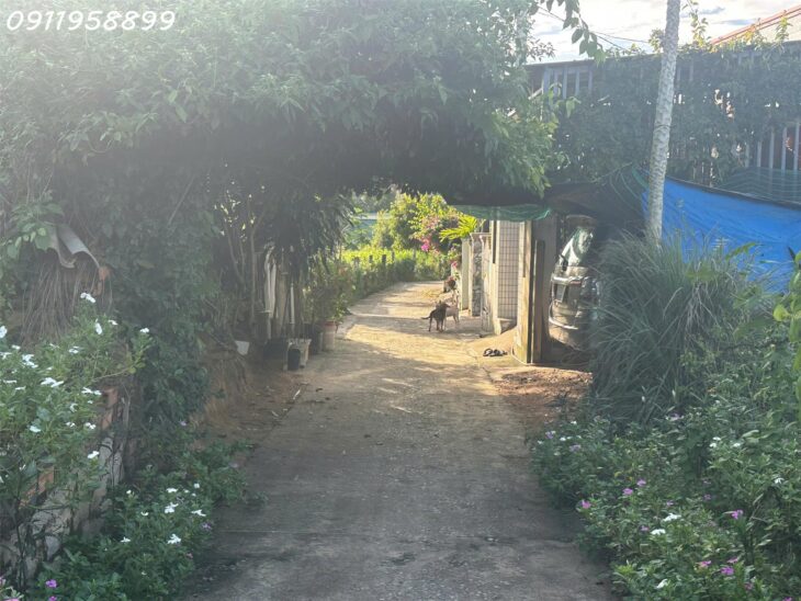Chỉ 650 triệu cho lô đất 183m2 thổ cư Tân Bình, thị xã LaGi đường xe hơi, sổ riêng
