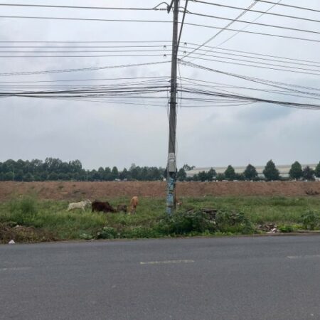 Chính chủ bán 697,6m2 đất tại Phường Mỹ Phước, TP Bến Cát.