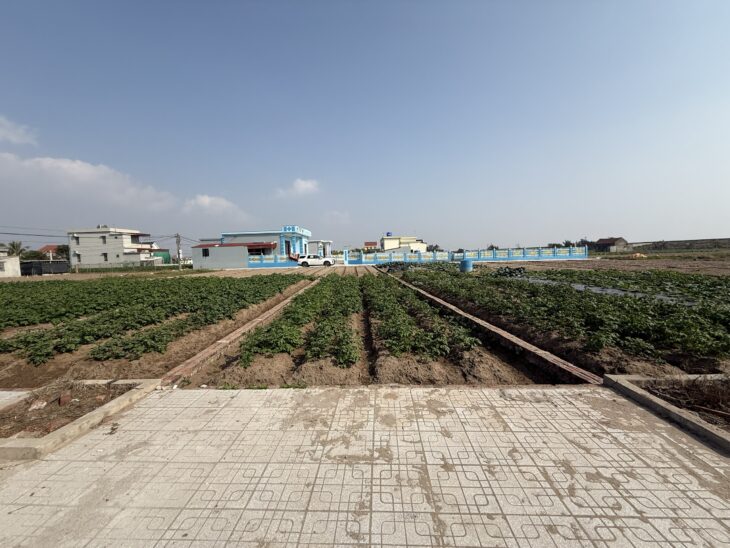 Chính công ty bán khu đất giao Phong, Quất Lâm 80m² sát biển, chỉ nhỉnh 1 tỷ!