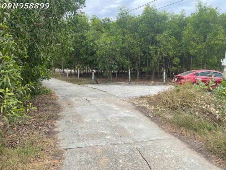 Bán đát sát Biển Cam Bình, Tân Phước, thị xã LaGi giá đầu tư thổ cư 300m2