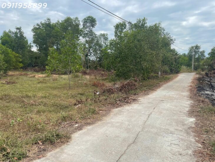 Bán đát sát Biển Cam Bình, Tân Phước, thị xã LaGi giá đầu tư thổ cư 300m2