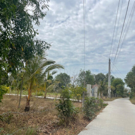 Bán đất 3484m2 đất ONT Tân Phước – TX LaGi cách QL55 600m giá rẻ nhất