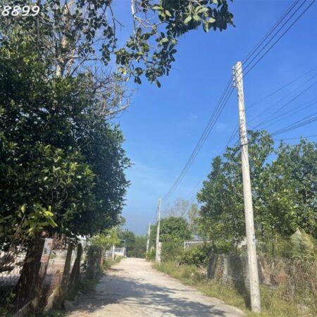 CHỈ 800 TRIỆU SỞ HỮU NGAY LÔ ĐẤT THỔ CƯ – TRUNG TÂM PHƯỜNG TÂN AN, LA GI! CHỈ 800 TRIỆU SỞ HỮU NGAY LÔ ĐẤT THỔ CƯ – TRUNG TÂM PHƯỜNG TÂN AN, LA GI!