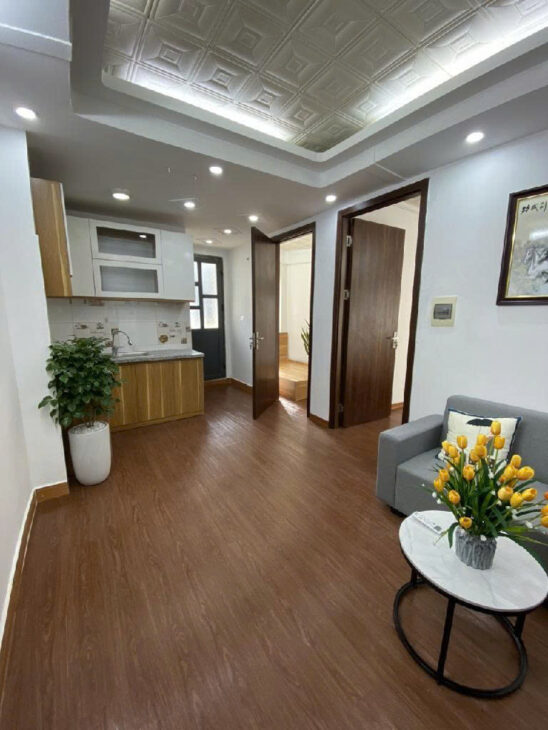 Bán căn hộ CCMN, Trương Định Hoàng Mai, gần TTTM chợ Mơ, Thang Máy, 54m2,HƠN 1,5 tỷ.