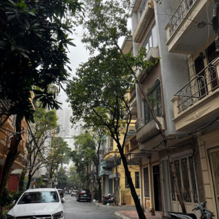 Mặt phố Mai Anh Tuấn Hoàng Cầu – 18.3 tỷ – 6 tầng thang máy Mặt phố Mai Anh Tuấn Hoàng Cầu – 18.3 tỷ – 6 tầng thang máy