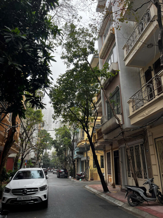 Mặt phố Mai Anh Tuấn Hoàng Cầu – 18.3 tỷ – 6 tầng thang máy