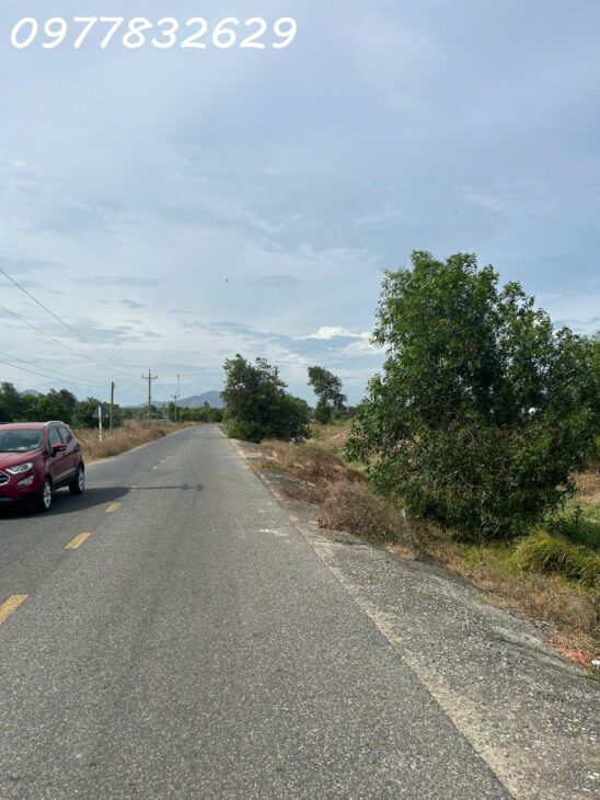 Bán đất mặt tiền Lê Quang Định – Tân Bình – TX LaGi cách Biển 1.5Km giá ngộp