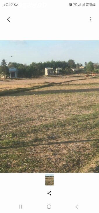 Bán 1645m2 đất Bình Tân, thị xã LaGi giá rẻ nhất 1.4 tỷ