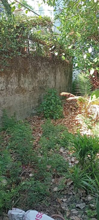 Bán nhà 270m2 Hẻm Lê Hồng Phong, Tân Thiện, Thị xã LaGi giá rẻ nhất 1.35 tỷ