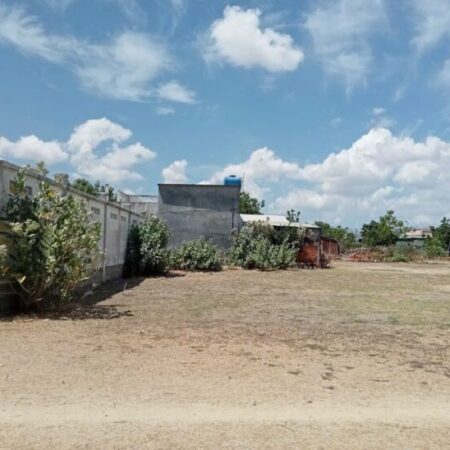 ???? BÁN LÔ ĐẤT TÁI ĐỊNH CƯ LA CHỮ – GIÁ TỐT CHỈ 495 TRIỆU ????