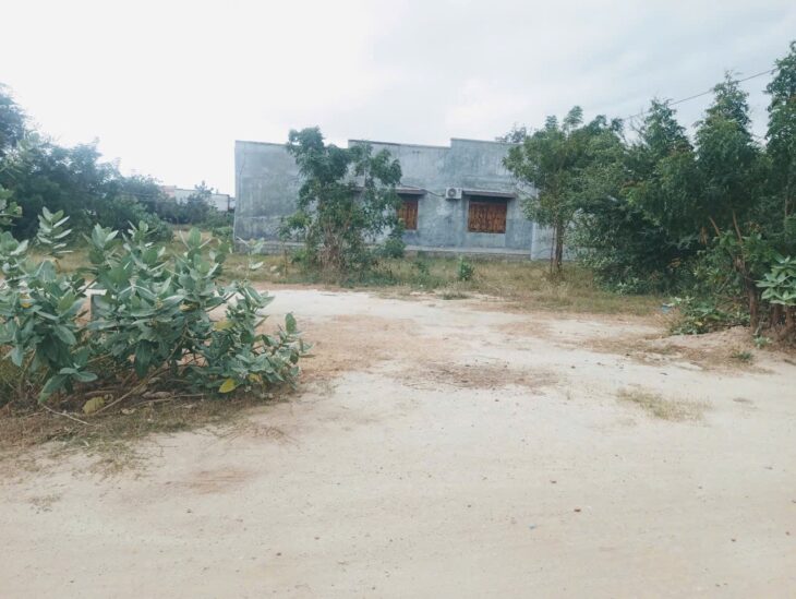 🔥 BÁN LÔ ĐẤT TÁI ĐỊNH CƯ LA CHỮ – GIÁ TỐT CHỈ 495 TRIỆU 🔥