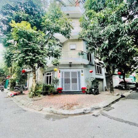 bán Biệt Thự Liền Kề Đại Thanh 56m, phân lô, ô tô tránh