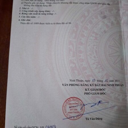 Bán lô đất đường 3m – 1 sẹc đường liên xã – Thôn Từ Tâm 2, Phước Hải, Ninh Phước