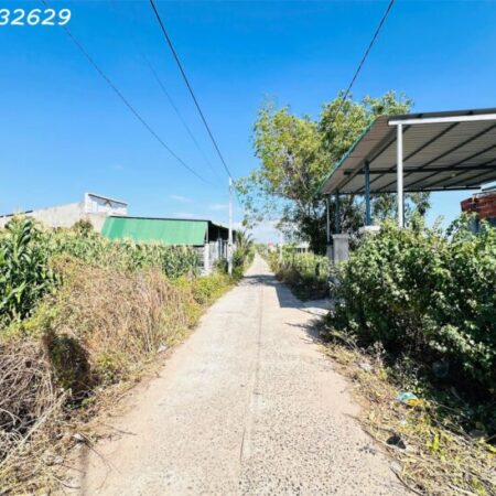 Đất Thổ Cư Tân Bình, Lagi: 197m², Ô Tô Tận Nơi, Gần Biển, Giá 1.1 Tỷ