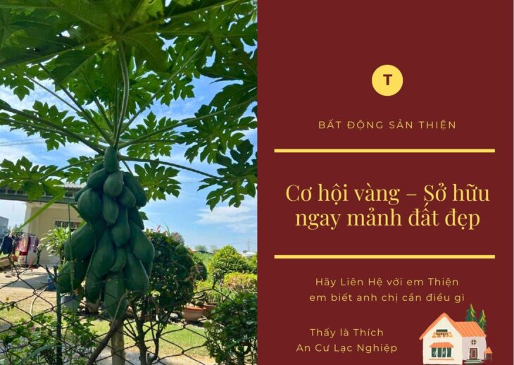 Đất Bán 120m2 Ngang 6m Đường Xe Hơi Bùi Văn Ngữ Hiệp Thành Quận 12