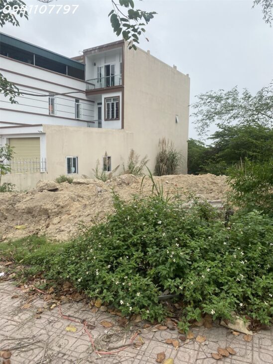 Bán Đất Vân Đồn 80m² – Full Thổ Cư – Mặt Đường 334 – Gần KĐT Phương Đông – Giá 2.4 Tỷ