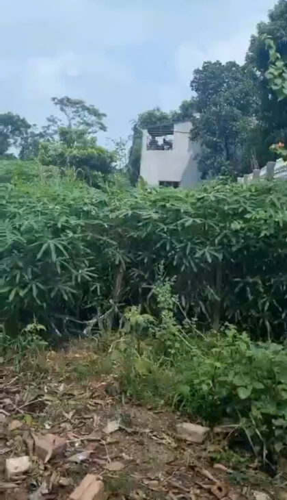 ĐẤT ĐẸP – GIÁ TỐT – Vị Trí Đắc Địa Tại Khu 4 ( Mới) Xã Thanh Đình, Thành phố Việt Trì , Phú Thọ.