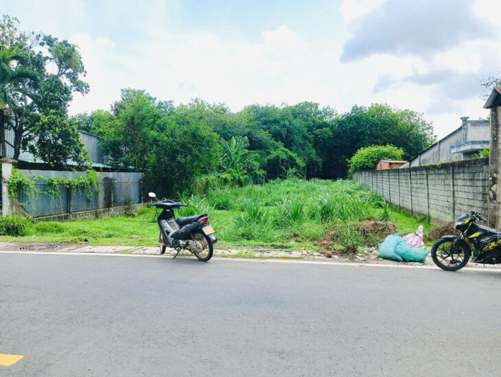 Bán đất đường Nguyễn Thị Nê – 790m2 – 14×56 – 264m2 thổ cư – xã Phú Hòa Đông – Củ Chi