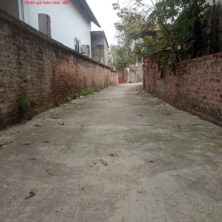 Bán đất thôn Thái Lai, Minh Trí, Sóc Sơn, HN. Đường thông, full thổ cư, oto đỗ cửa.