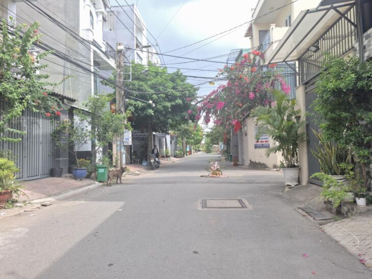 ???? BÁN GẤP ĐẤT FULL THỔ CƯ – ĐƯỜNG Ô TÔ – GẦN CHỢ, TRƯỜNG HỌC – NGUYỄN DUY TRINH, QUẬN 9 ????