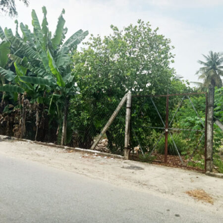 Bán đât 1/ đường Tỉnh Lộ 8 – 895m2 – 20×46 – 300m2 thổ cư – xã Bình Mỹ – Củ Chi Bán đât 1/ đường Tỉnh Lộ 8 – 895m2 – 20×46 – 300m2 thổ cư – xã Bình Mỹ – Củ Chi