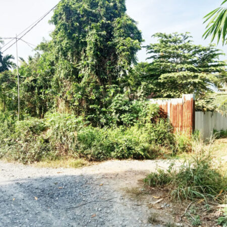 Bán đất 2 mặt tiền sông Sài Gòn – 416m2 – 13×24 nở hậu 19m – 300m2 thổ cư – xã Bình Mỹ – Củ Chi