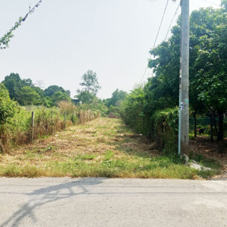 Bán đất đường 488 – 338m2 – 6×55 – 99m2 thổ cư – xã Phú Hòa Đông – Củ Chi