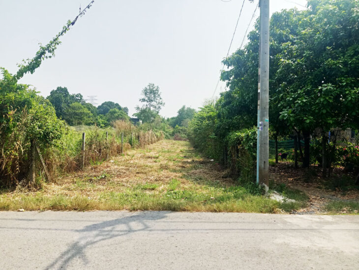 Bán đất đường 488 – 338m2 – 6×55 – 99m2 thổ cư – xã Phú Hòa Đông – Củ Chi