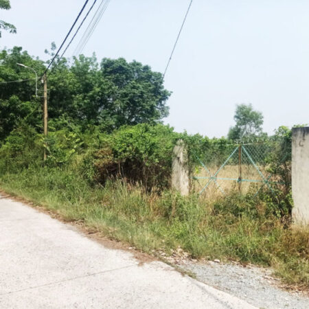 Đất 1/ đường Nguyễn Thị Ngọt – 3291m2 – 34×107 – 200m2 thổ cư – xã Phú Hòa Đông – Củ Chi