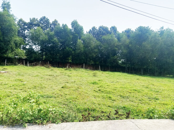 Đất 1/ đường Nguyễn Thị Nê – 120m2 – 4×28 – 104m2 thổ cư – xã Phú Hòa Đông – Củ Chi