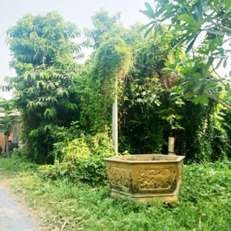 Bán đất 1/ đường Bình Mỹ – 1552m2 – 6.7×81 nở hậu 21m – 100m2 thổ cư – xã Bình Mỹ – Củ Chi