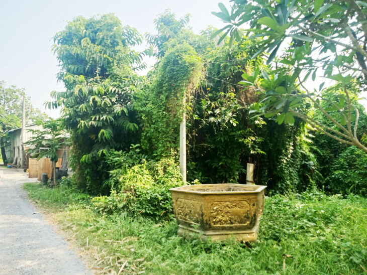 Bán đất 1/ đường Bình Mỹ – 1552m2 – 6.7×81 nở hậu 21m – 100m2 thổ cư – xã Bình Mỹ – Củ Chi