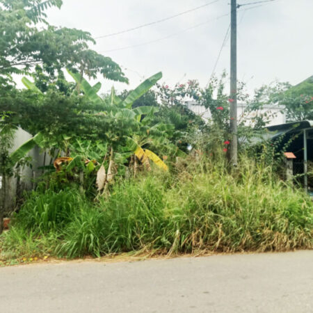 Bán đất đường Bến Súc – 346m2 – 6×58 – 168m2 thổ cư – xã An Phú – Củ Chi Bán đất đường Bến Súc – 346m2 – 6×58 – 168m2 thổ cư – xã An Phú – Củ Chi