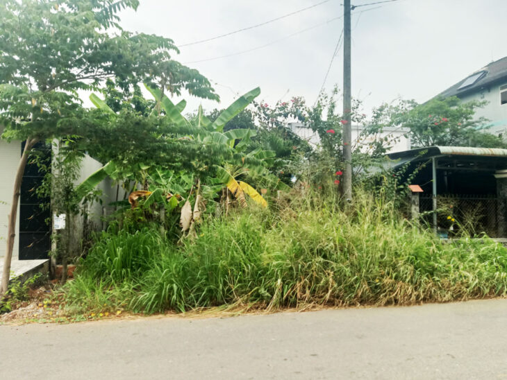 Bán đất đường Bến Súc – 346m2 – 6×58 – 168m2 thổ cư – xã An Phú – Củ Chi