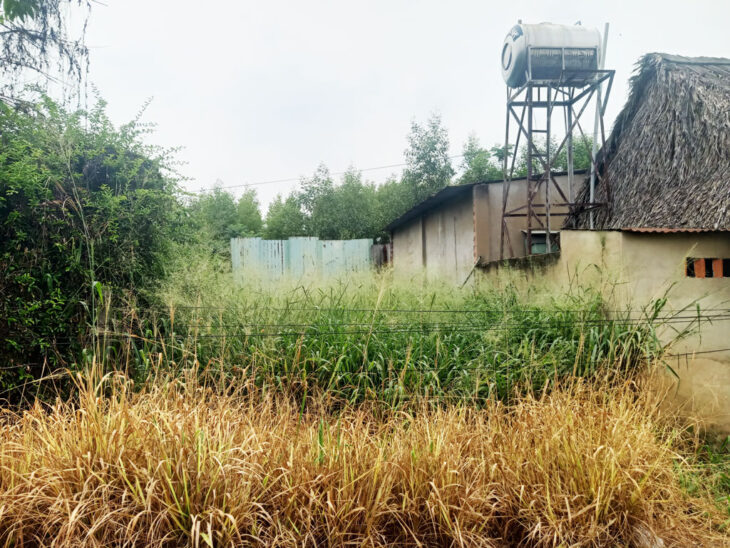 Đất 1/ đường Bến Súc – 71m2 – 5×14 – 63m2 thổ cư – xã An Phú – Củ Chi