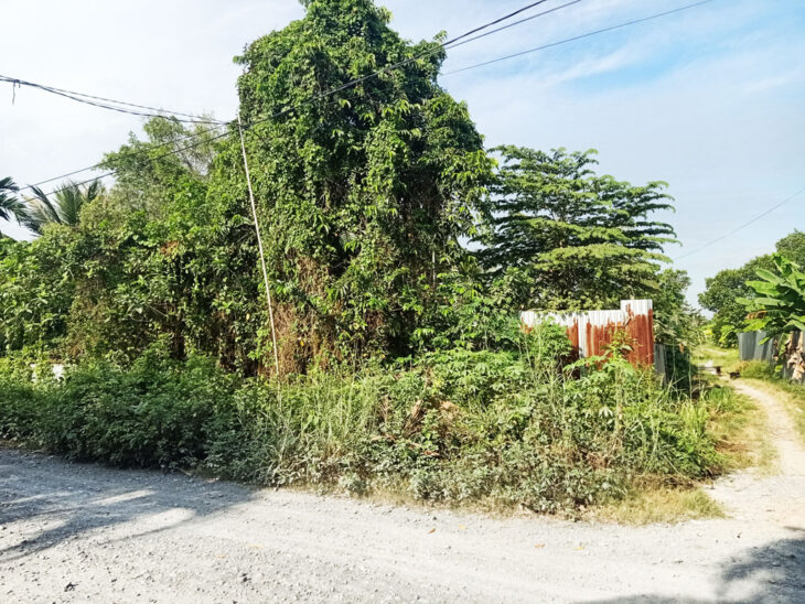 Bán đất 2 mặt tiền sông Sài Gòn – 416m2 – 13×24 nở hậu 19m – 300m2 thổ cư – xã Bình Mỹ – Củ Chi