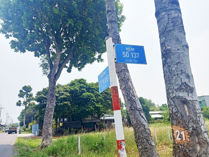 Đất 2 mặt tiền đường Bùi Thị Điệt – 243m2 – 10×24 – 100m2 thổ cư – xã Phạm Văn Cội – Củ Chi