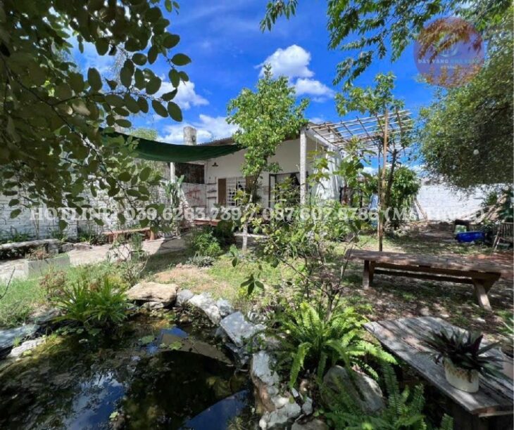 ☀️BÁN ĐẤT DIỆN TÍCH LỚN, HAI SỔ RIÊNG – Đường Nguyễn Duy Trinh, Hòa Hải, Ngũ Hành Sơn, Đà Nẵng