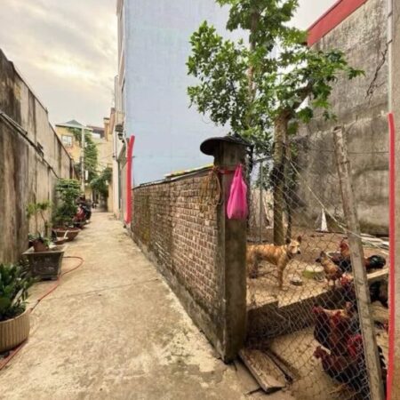 NGỌC THỤY – BÁN ĐẤT 40M2, MT7M – NGÕ NÔNG – CHỈ 3,1 TỶ ( HIẾM ) – 3 GÁC CHẠY VÒNG QUANH