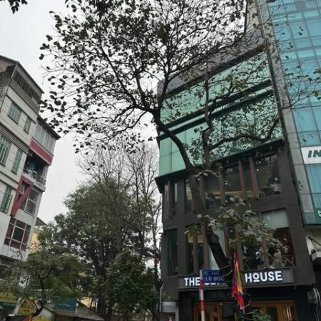 SIÊU PHẨM TÒA NHÀ MẶT PHỐ THỌ LÃO – HAI BÀ TRƯNG, THANG MÁY: 60M, 7T, MT: 6M