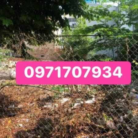 Đất mặt tiền đường 79 Tân Quy, 77,3m2, P.Tân Quy Quận 7-Giá 13 tỷ 8