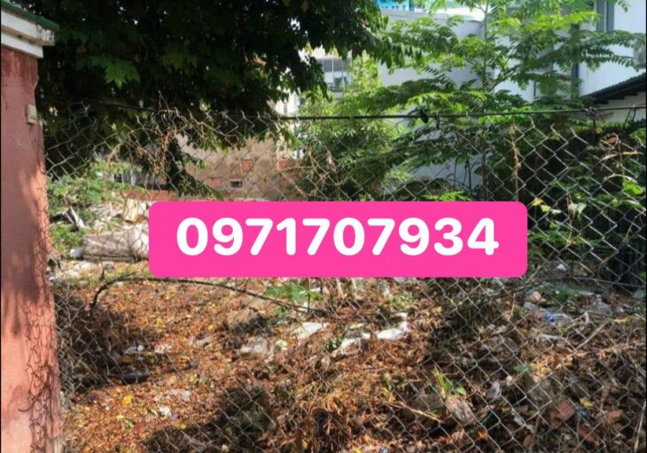 Đất mặt tiền đường 79 Tân Quy, 77,3m2, P.Tân Quy Quận 7-Giá 13 tỷ 8